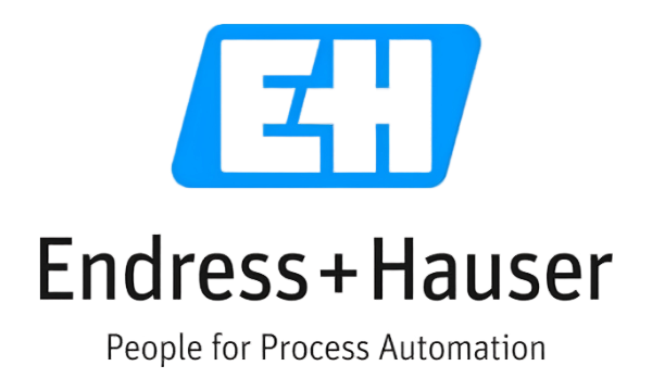 Endress + Hauser Endress + Hauser